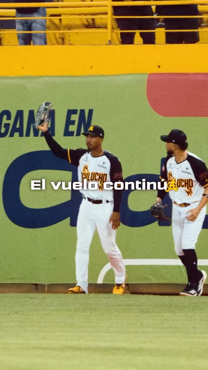 El vuelo continúa 🦅